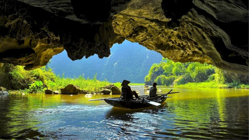 Boat through limestone caves lined with ripening rice paddies